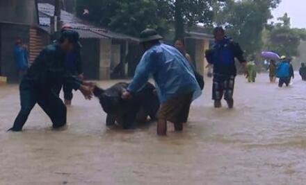 越南遭洪水和泥石流灾害 已致37人死亡40人失踪